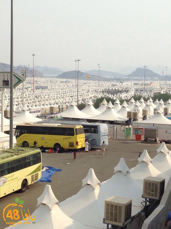 7ojaj yaffa (32).JPG